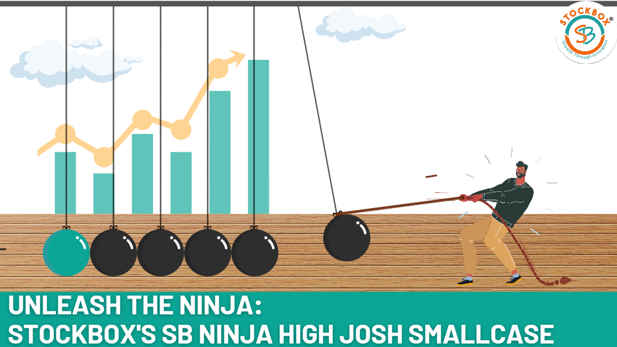 SB Ninja High Josh Smallcase